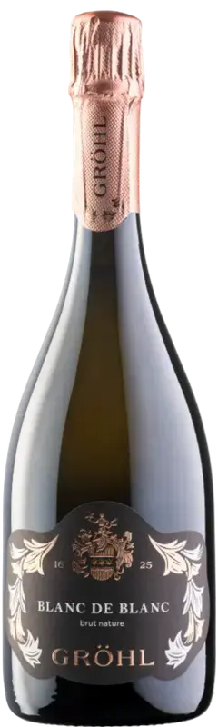 Blanc de Blanc Sekt Traditionelle Flaschengärung brut nature (Flasche)